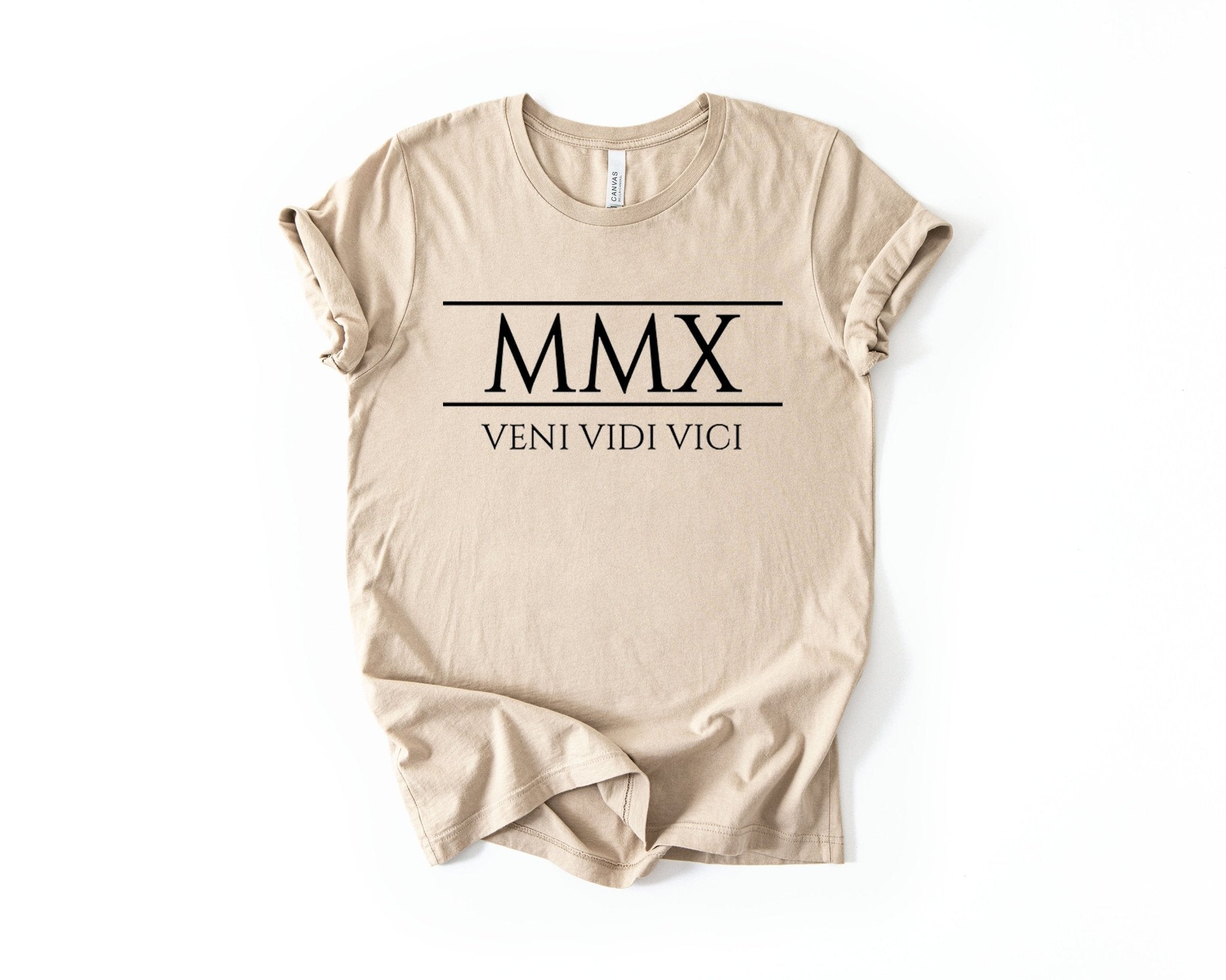 16th Birthday T-Shirt Roman Number - Birthday Tees